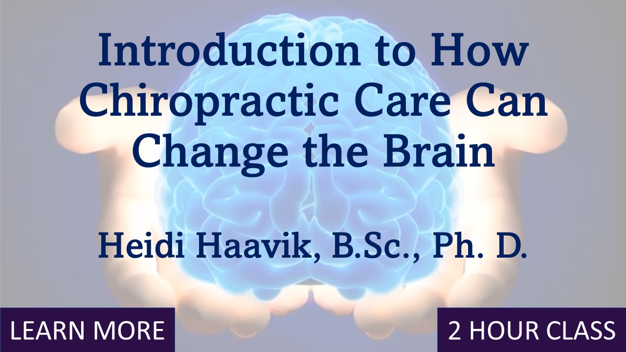 Introduction to How Chiropractic Can Change the Brain